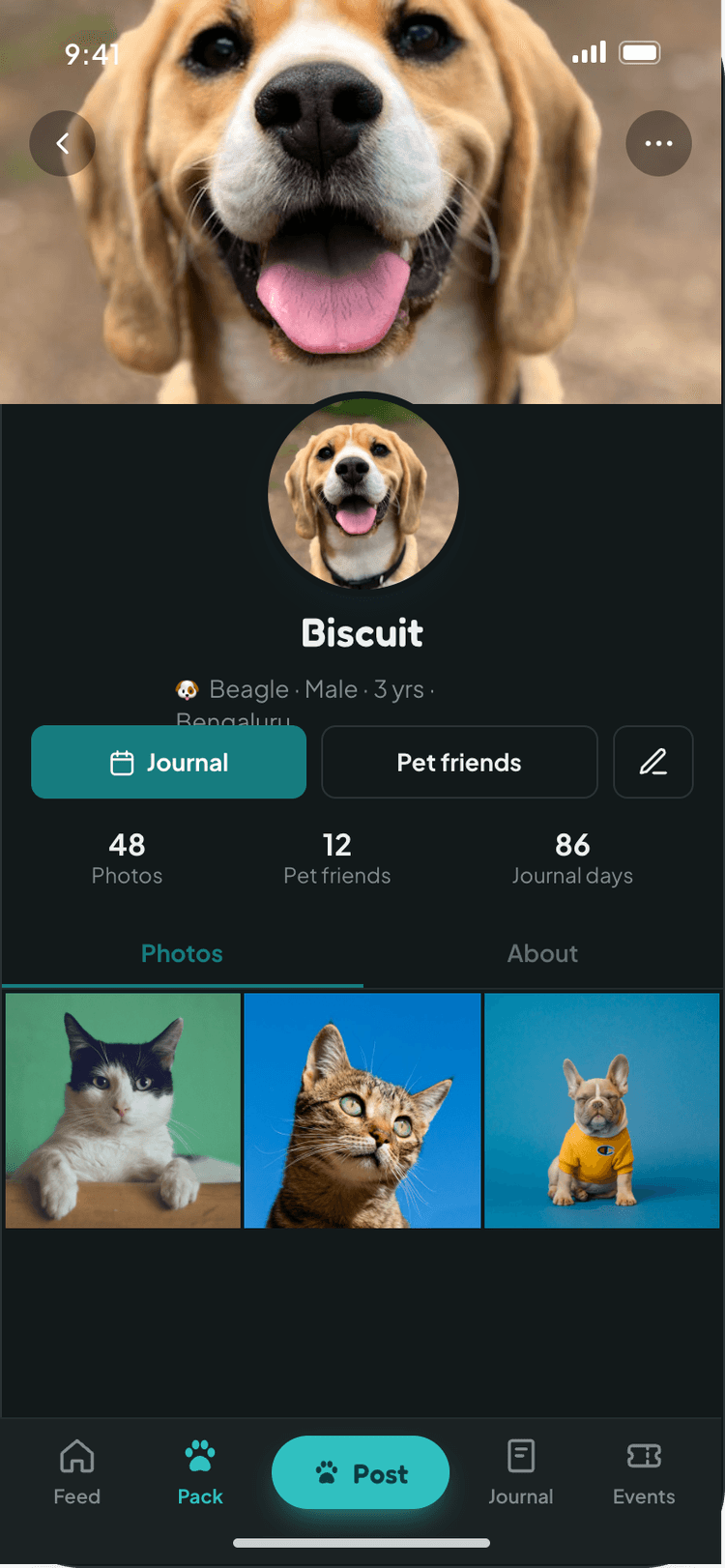 Zoomiees Pet Profile Screen